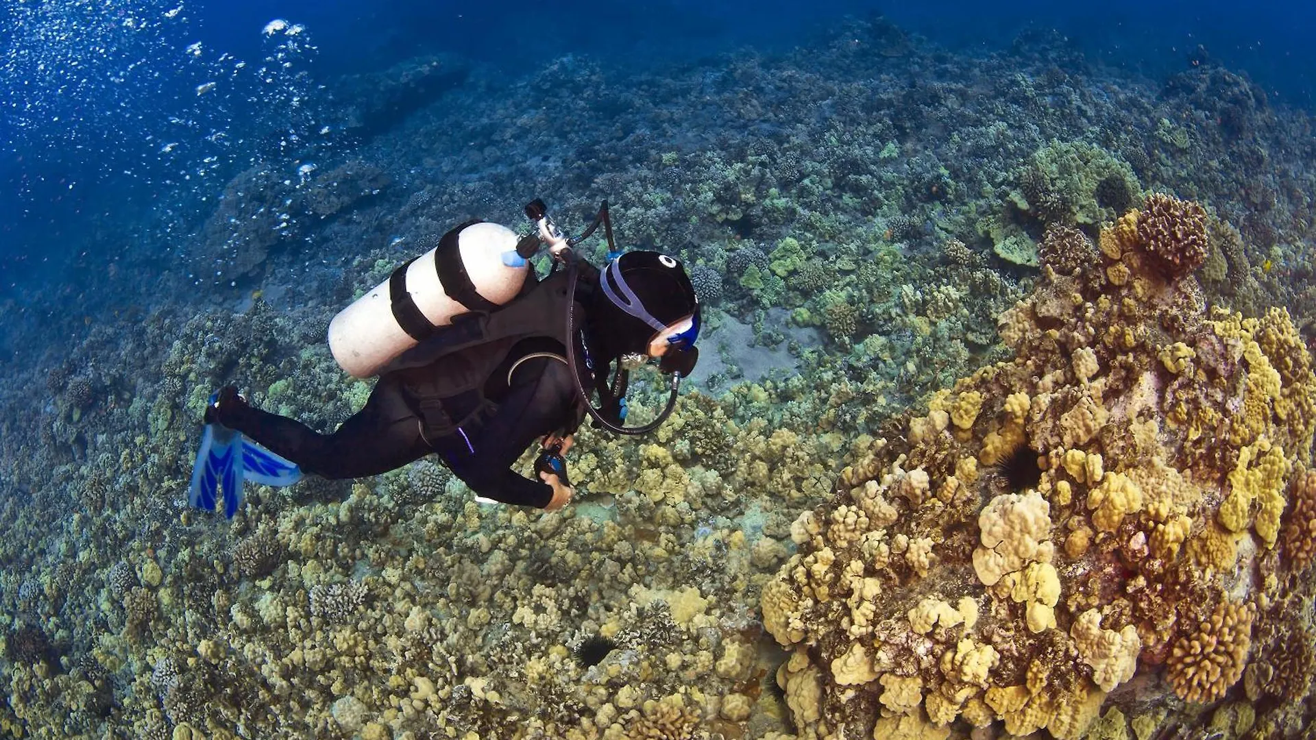 Kanai A Nalu 211 Wailuku